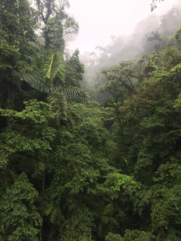 Cloud and Rainforests  of Costa Rica.jpg